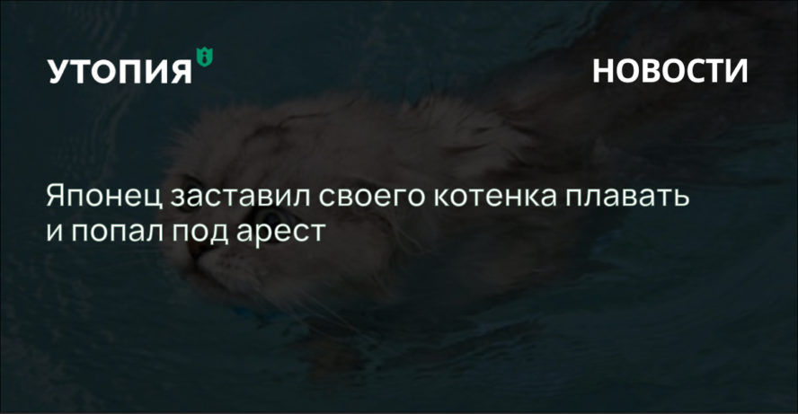 Японец заставил своего котенка плавать и попал под арест